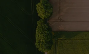 home-cta-section-background.webp